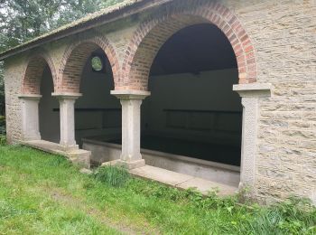 Percorso Marcia Fley - Sentier des Orchidées de Fley - Photo