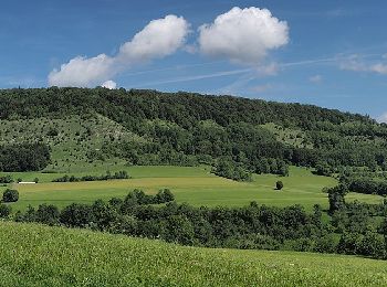 Tocht Te voet Waldstetten - Glaubensweg 14 Christentalweg - Photo