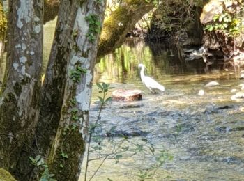 Tocht Stappen Valbonne - garbejaire aqueduc romain biot brague - Photo