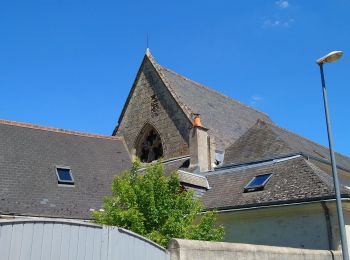 Tocht Stappen Vernou-sur-Brenne - Vernou-sur-Brenne - Zig zag autour de la Brenne - 16.8km 165m 3h20 - 2006 05 21 - Photo
