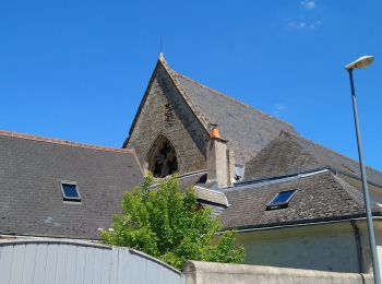 Randonnée Marche Vernou-sur-Brenne - Vernou-sur-Brenne - Zig zag autour de la Brenne - 16.8km 165m 3h20 - 2006 05 21 - Photo