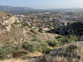 Excursión Senderismo Cavaillon - PF-Cavaillon - La Colline Saint Jacques - Photo