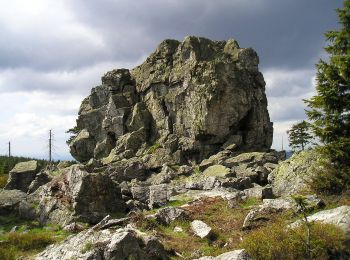 Percorso A piedi Osterode am Harz - Harzklub-Weg 10L - Photo