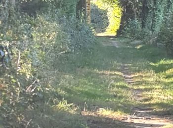 Tocht Stappen Couzeix - arthugeras le grand chatain - Photo