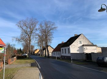 Randonnée A pied Nuthe-Urstromtal - Wald- und Wiesenweg - Photo