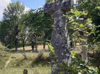 Excursión Senderismo Peyre en Aubrac - les moulins? - Photo