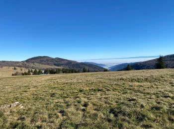 Trail Walking Ranspach - 24 11 16 Autour du Markstein - Photo