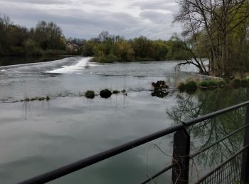 Tour Nordic Walking Dampierre - chateauneuf - Photo