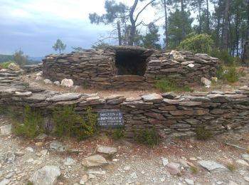 Trail Walking Soustelle - La Croix des vents - Photo