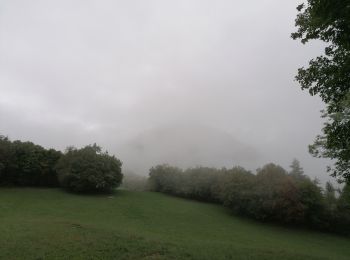 Excursión Senderismo Corenc - la cabane des ours 2022 - Photo