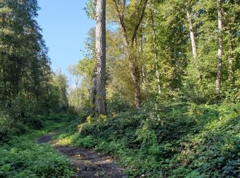 Percorso A piedi Genappe - SityTrail - randonnée  à bousval - Photo