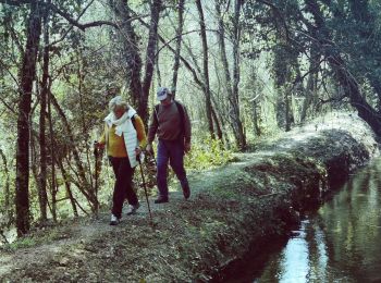 Tocht Stappen Le Thoronet - le thoronet_pont d'argent_canal ste croix - Photo