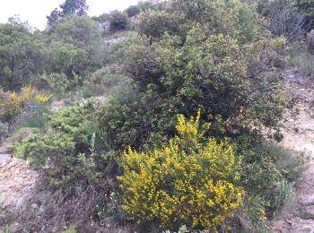 Tocht Stappen Levens - Mont Cima - Photo