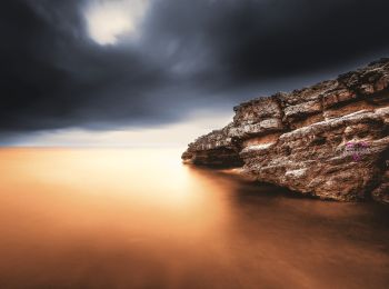 Tour Zu Fuß Martigues - Le Cap Couronne - Photo