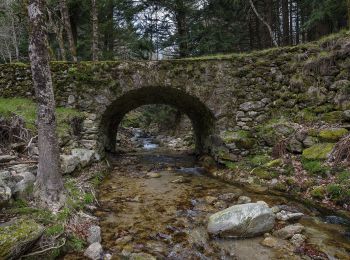 Tour Zu Fuß Rosis - Le Vialaïs - Photo