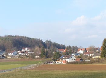 Tocht Te voet Etzelwang - Kirchenreinbach Runde - Photo