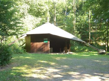 Tour Zu Fuß Lahnstein - Wanderweg Forsthaus-Weg FH - Photo