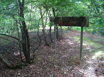 Tocht Te voet Witten - [Δ] Witten - Grundschöttel - Photo