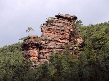 Randonnée A pied Erfweiler - Rundwanderweg Erfweiler 56 - Photo