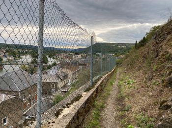 Tocht Stappen Vireux-Molhain - Vireux Molin 10 km - Photo