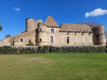 Tocht Stappen Maraussan - Maraussan puechs et rivière  - Photo