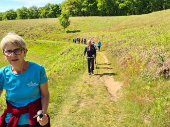 Excursión Senderismo  - 2025/05/18 chassagnas - Photo