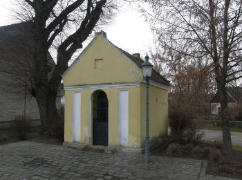 Tocht Te voet Gemeinde Poysdorf - Poysbrunner Weg - Photo