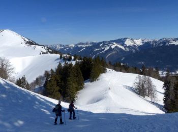 Excursión Raquetas de nieve Sarcenas - col de porte CHARMANT SOM - Photo