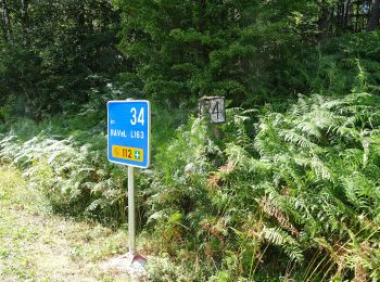 Randonnée A pied Bastogne - Promenade du chemin des Pélerins - Photo