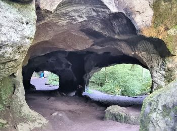 Percorso A piedi Echternacherbrück - Felsenweg 1 - Photo