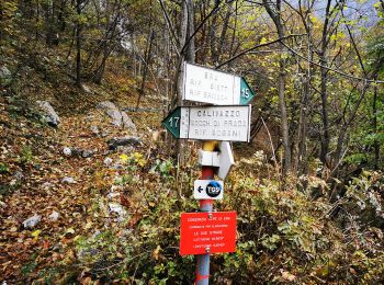 Percorso A piedi Mandello del Lario - Mandello - Bocchetta di Prada - Photo