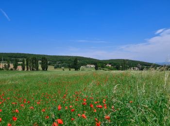 Trail Walking Portes-en-Valdaine - 2022-10-01_17h32m32_13243364-1 - Photo