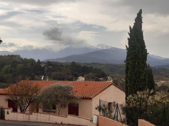 Excursión Senderismo Céret - mon balcon de Céret - Photo