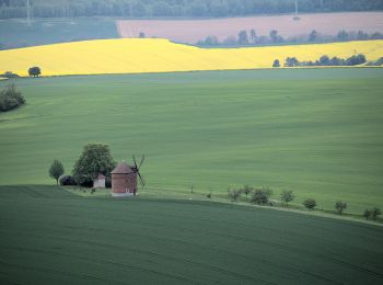 Excursión A pie Pačlavice - [Ž] Nad Kozojedskem - Lhota u Pačlavic - Photo