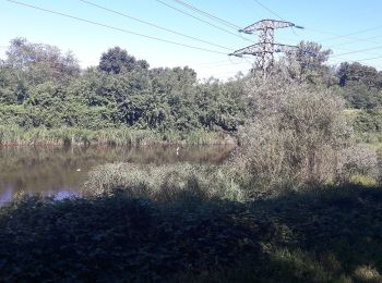 Percorso A piedi Castano Primo - Dorsale Sesto Calende-Milano - Photo