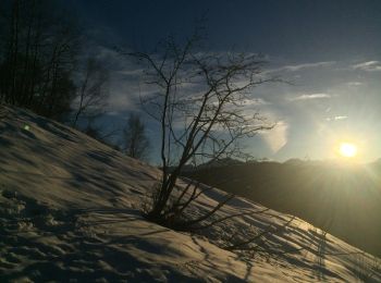 Percorso A piedi Peveragno - IT-L17 - Photo