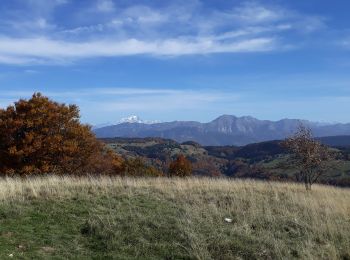 Tour Wandern Les Déserts - Crêtes du Revard - Photo