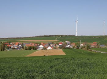 Excursión A pie Weikersheim - Plateauweg - Photo