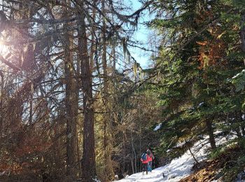 Tocht Sneeuwschoenen Crots - EMBRUN Jour 2 : Abbaye de Boscodon - Le Cirque de Morgon - Photo