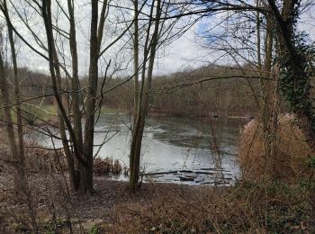 Tour Wandern Clamart - La forêt de Meudon - Photo