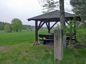 Trail On foot Belgern-Schildau - Rundweg Schildau - Photo