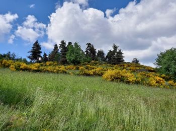 Tour Wandern Saint-Agrève - La chaux par les Sagnoles - Photo