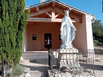 Tour Wandern Caromb - Lac du Paty chapelle de la Madeleine - Photo