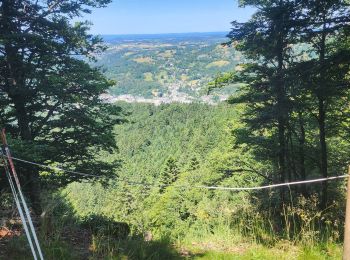 Tour Pfad La Bourboule - la bourboule,  le vendeix, la roche de l'aigle  - Photo