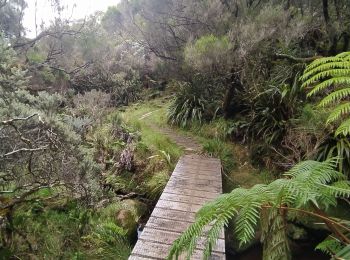 Tocht Stappen Salazie - Tour du Piton des Neiges par le petit GRR1 / J4 - Photo