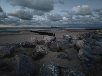 Tocht Andere activiteiten Sangatte - Ballade le long de la plage de Sangatte - Photo