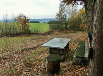 Excursión A pie Emtmannsberg - Speichersdorf Rundwanderweg Nr . 4 - Photo