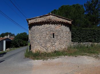 Trail Walking Carcès - La vallée de l'Argens-03-0621 - Photo