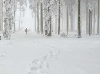 Randonnée A pied Hilscheid - Traumschleife Gipfelrauschen - Photo