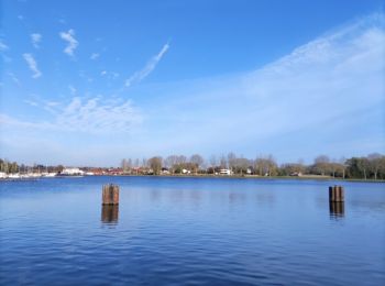 Randonnée Marche Antoing - Circuit du grand large  - Photo